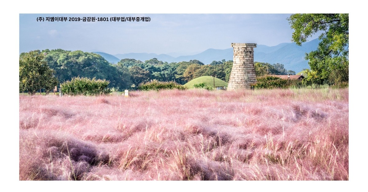 Rekomendasi 5 Taman Bunga Di Korea Selatan untuk Menikmati Musim Gugur